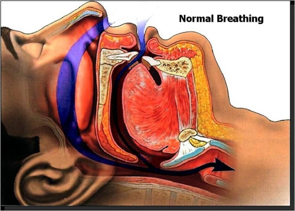 normal-breathing1-1024x732